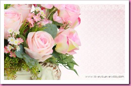 pinkrose